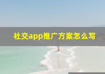 社交app推广方案怎么写