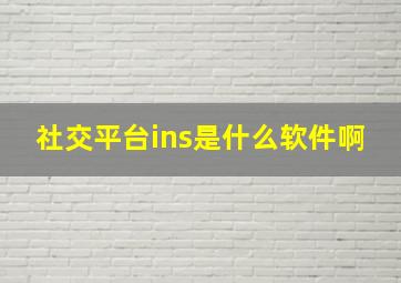 社交平台ins是什么软件啊