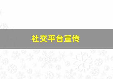 社交平台宣传