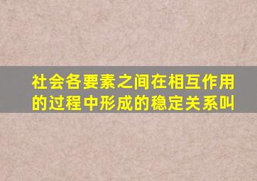 社会各要素之间在相互作用的过程中形成的稳定关系叫