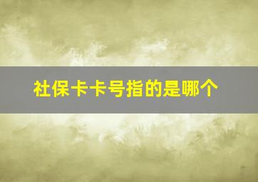 社保卡卡号指的是哪个