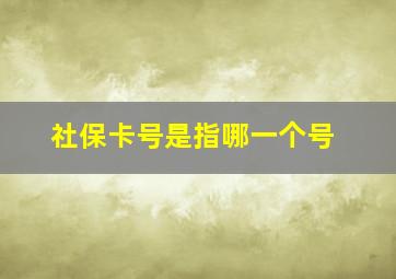 社保卡号是指哪一个号