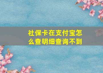 社保卡在支付宝怎么查明细查询不到