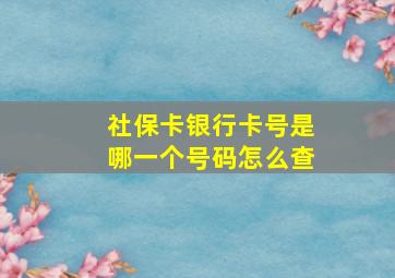 社保卡银行卡号是哪一个号码怎么查