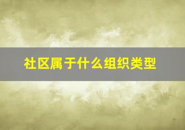 社区属于什么组织类型