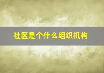 社区是个什么组织机构