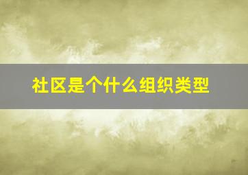 社区是个什么组织类型