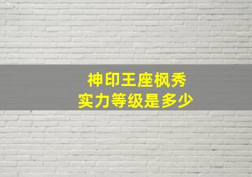 神印王座枫秀实力等级是多少