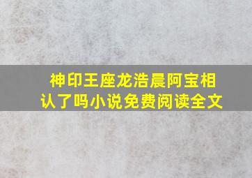 神印王座龙浩晨阿宝相认了吗小说免费阅读全文