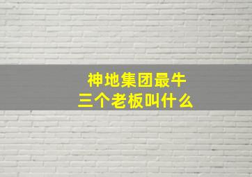 神地集团最牛三个老板叫什么