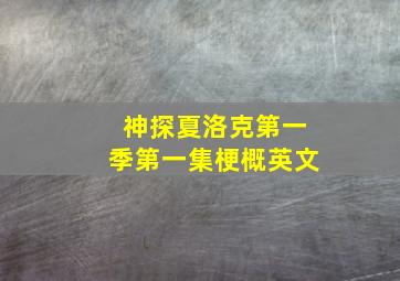 神探夏洛克第一季第一集梗概英文