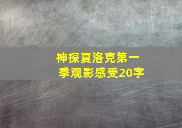 神探夏洛克第一季观影感受20字