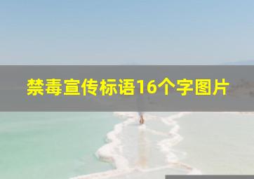 禁毒宣传标语16个字图片