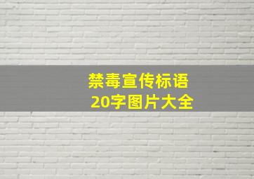 禁毒宣传标语20字图片大全