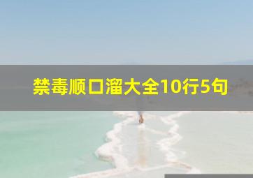 禁毒顺口溜大全10行5句