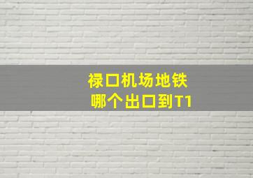 禄口机场地铁哪个出口到T1