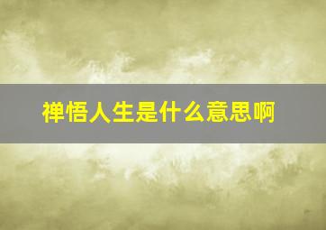 禅悟人生是什么意思啊