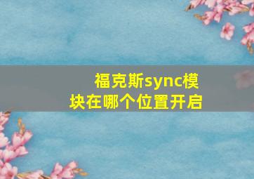 福克斯sync模块在哪个位置开启