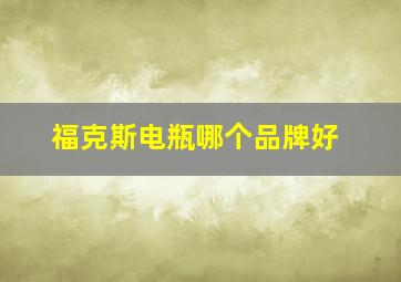 福克斯电瓶哪个品牌好