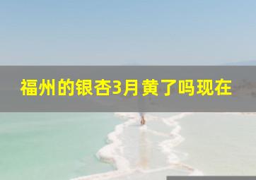 福州的银杏3月黄了吗现在