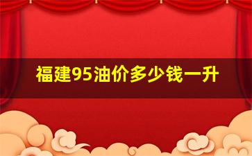 福建95油价多少钱一升