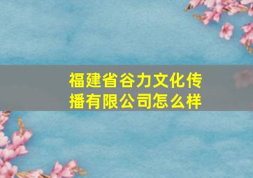 福建省谷力文化传播有限公司怎么样