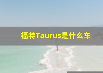 福特Taurus是什么车