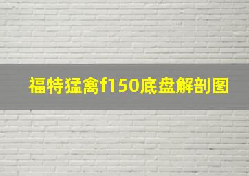 福特猛禽f150底盘解剖图