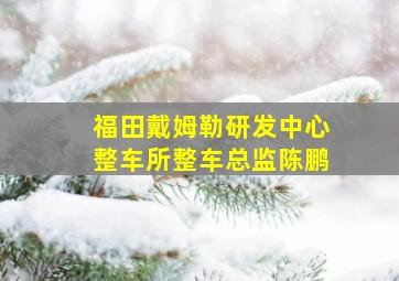 福田戴姆勒研发中心整车所整车总监陈鹏