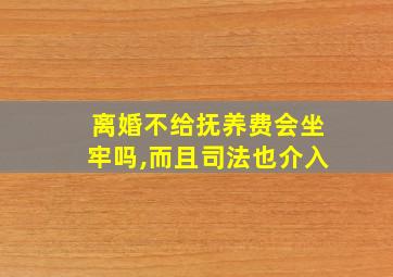 离婚不给抚养费会坐牢吗,而且司法也介入