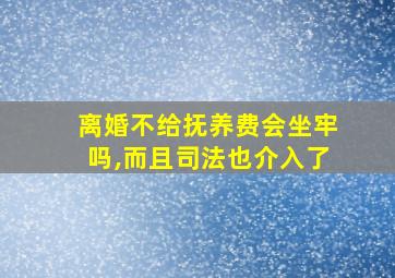 离婚不给抚养费会坐牢吗,而且司法也介入了