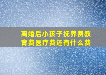 离婚后小孩子抚养费教育费医疗费还有什么费