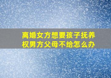 离婚女方想要孩子抚养权男方父母不给怎么办