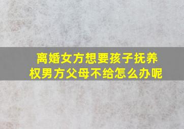 离婚女方想要孩子抚养权男方父母不给怎么办呢