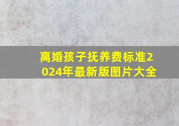 离婚孩子抚养费标准2024年最新版图片大全