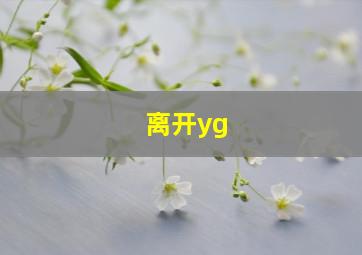 离开yg