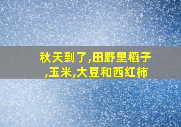 秋天到了,田野里稻子,玉米,大豆和西红柿