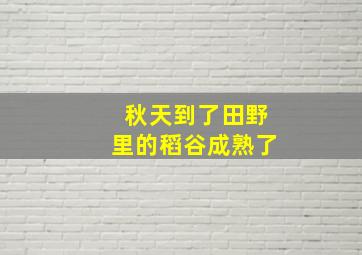 秋天到了田野里的稻谷成熟了