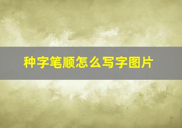 种字笔顺怎么写字图片