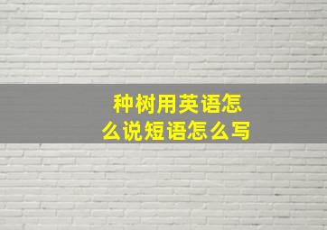 种树用英语怎么说短语怎么写