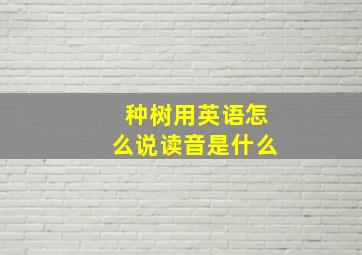 种树用英语怎么说读音是什么