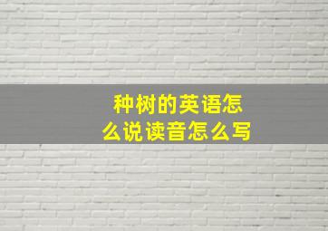 种树的英语怎么说读音怎么写