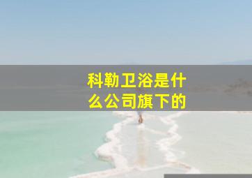 科勒卫浴是什么公司旗下的