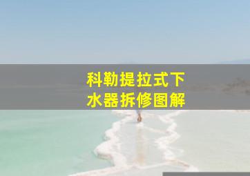 科勒提拉式下水器拆修图解