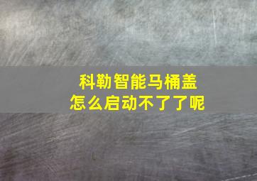 科勒智能马桶盖怎么启动不了了呢