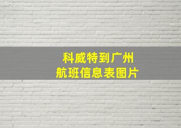 科威特到广州航班信息表图片