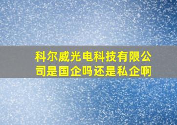 科尔威光电科技有限公司是国企吗还是私企啊