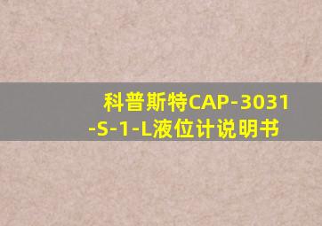 科普斯特CAP-3031-S-1-L液位计说明书