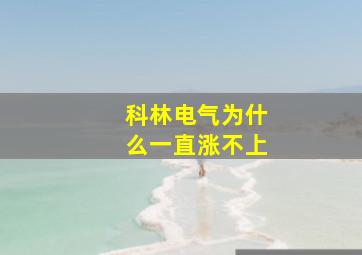 科林电气为什么一直涨不上