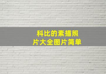 科比的素描照片大全图片简单